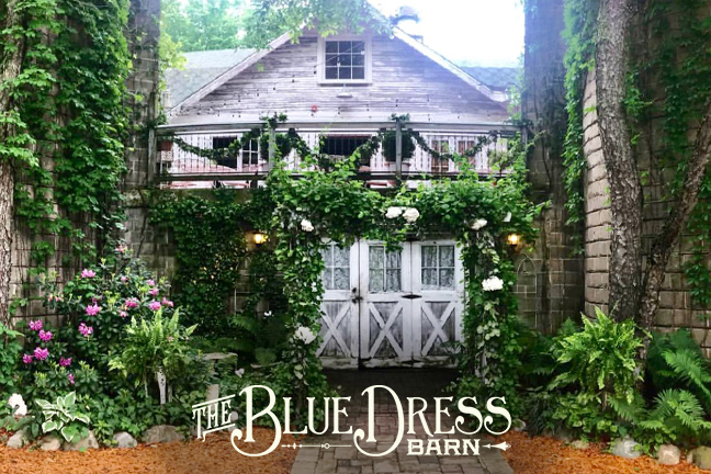 The blue dress barn